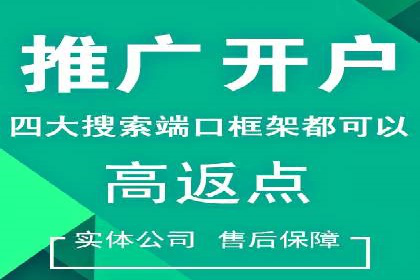 SEM托管服务案例：揭秘高效广告投放